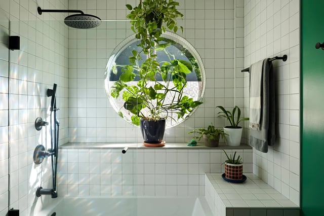 Tiled shower with a round window, plants, and black hardware.