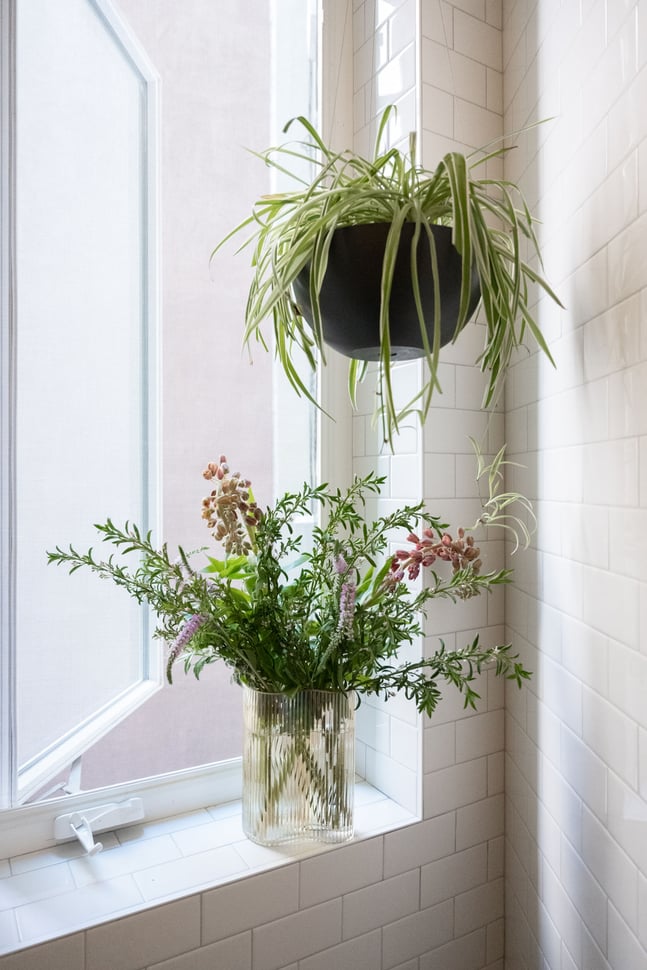 Guest Bathroom Window in Shower