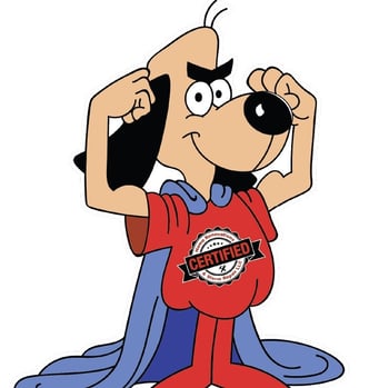 Company profile photo