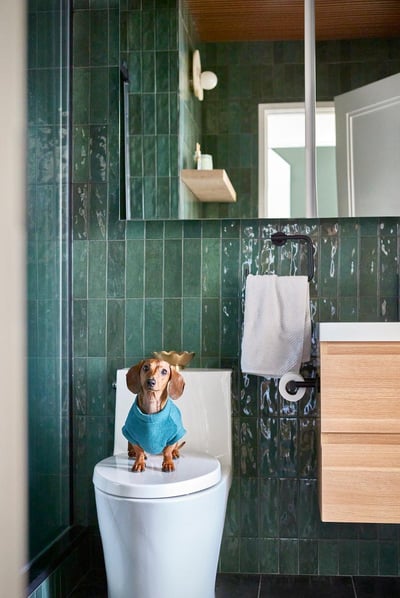 Green Tile Bathroom Brooklyn