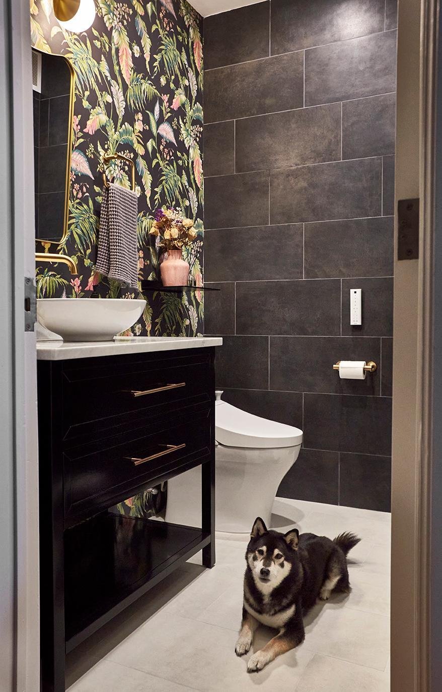 A black vanity and dog in a powder room.