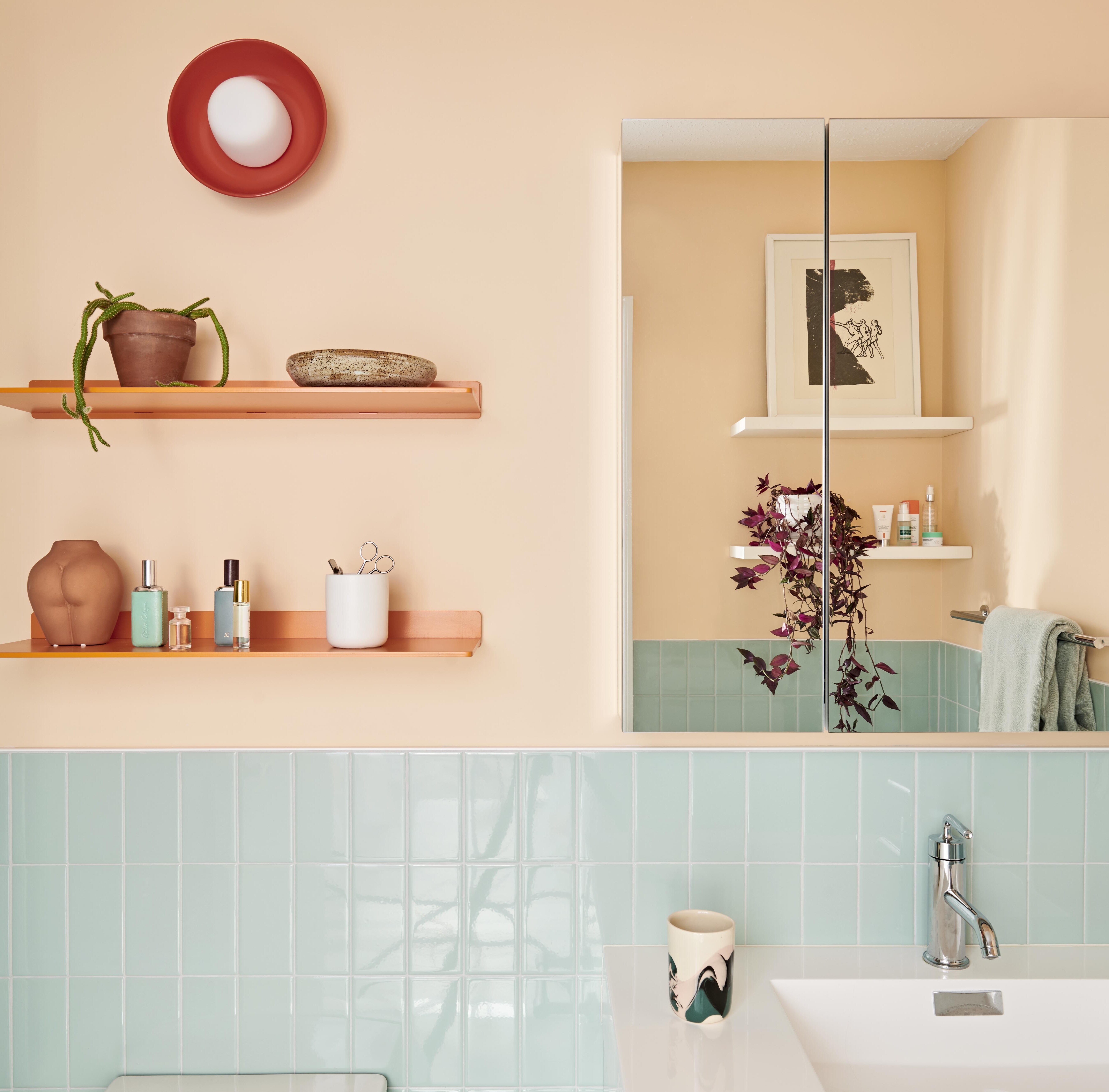 Special Bathroom Paint